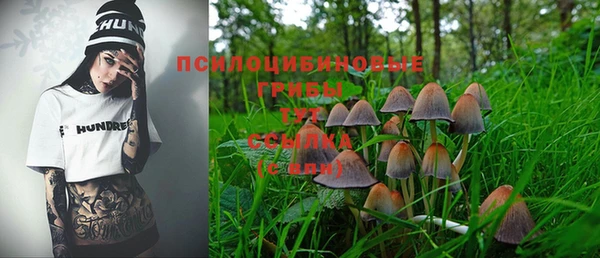 марихуана Баксан